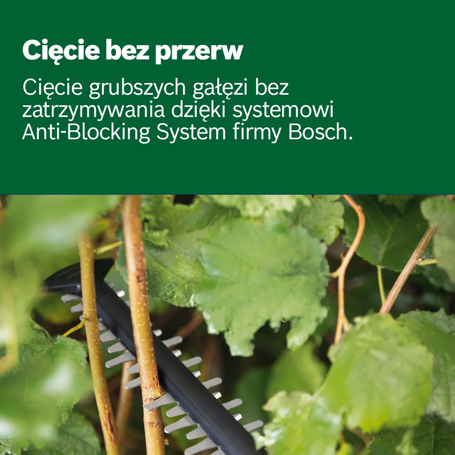 Bosch UniversalHedgeCut 18V-50 Sekator akumulatorowy 18V 2,5 Ah 50 cm