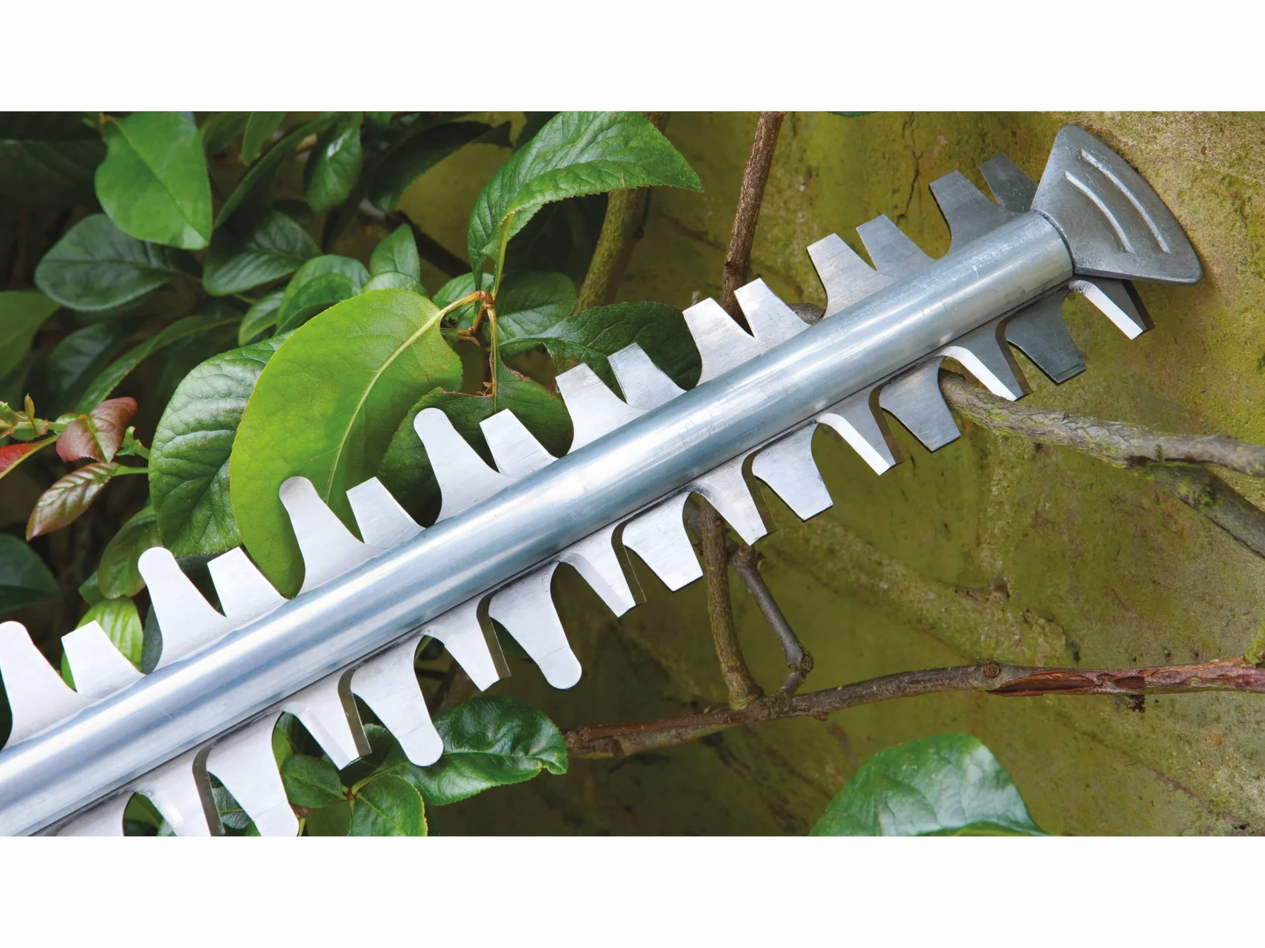 Bosch Advancedhedgecut 65 Nożyce Ogrodowe 24 x 69 x 2,5 cm 4 kg