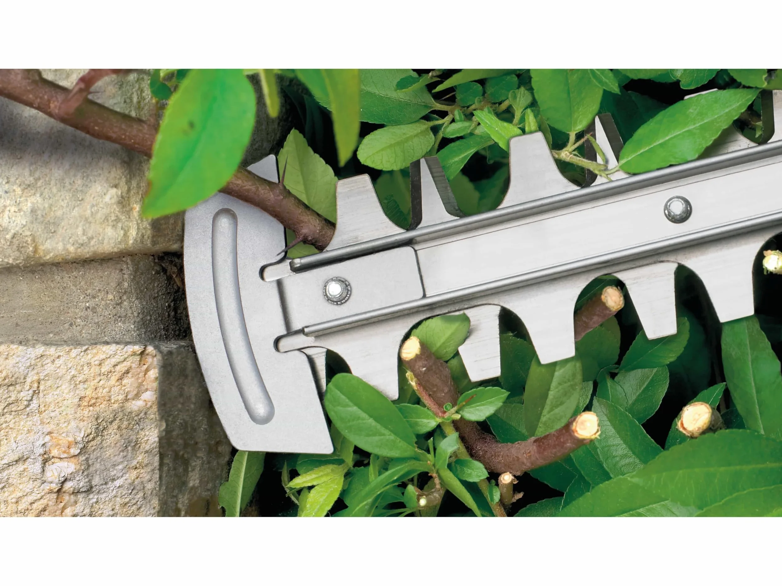 Bosch Advancedhedgecut 65 Nożyce Ogrodowe 24 x 69 x 2,5 cm 4 kg