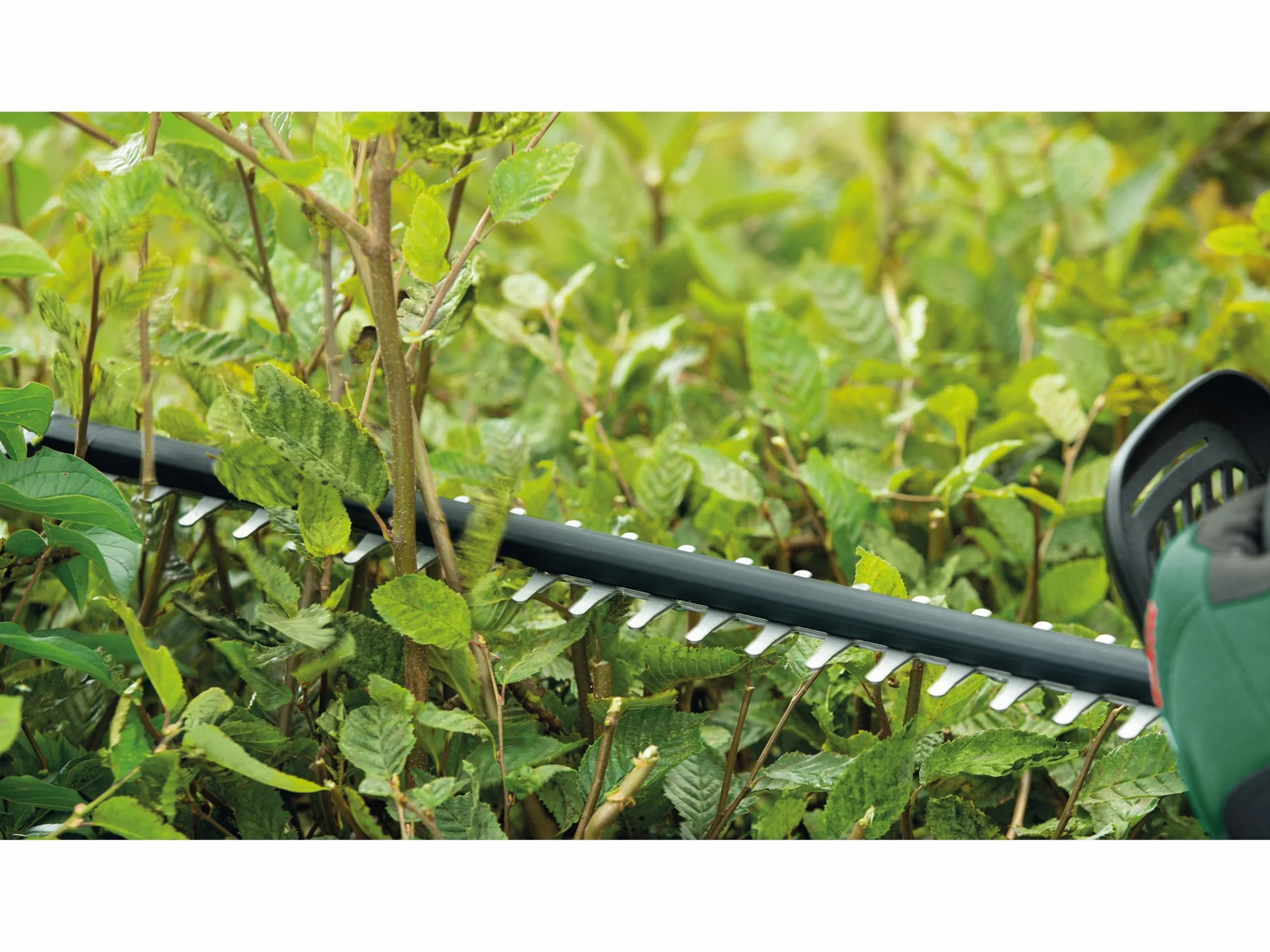 Bosch UniversalHedgeCut 50 - Sekator (480 W, długość listwy tnącej: 50 cm, do średnich żywopłotów, odstęp pomiędzy nożami: 26 mm, opakowanie kartonowe)