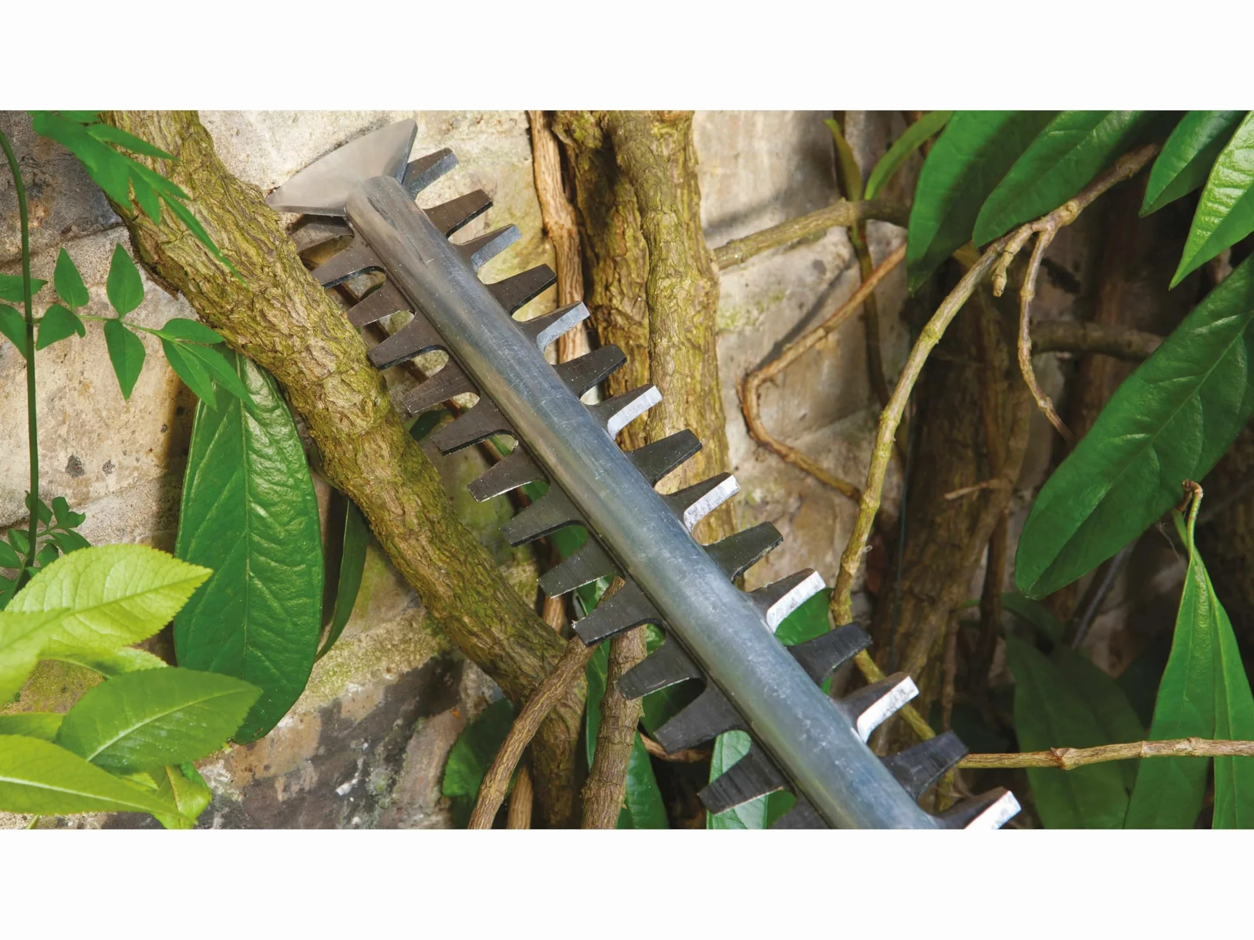Bosch Advancedhedgecut 65 Nożyce Ogrodowe 24 x 69 x 2,5 cm 4 kg
